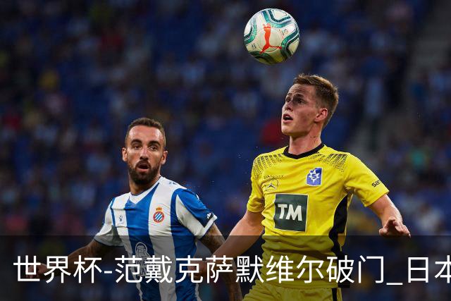 世界杯-范戴克萨默维尔破门 日本2度扳回2-2绝平荷兰